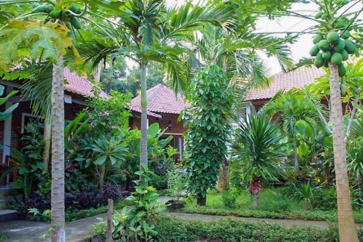 Enak Bungalow Amed  Luaran gambar